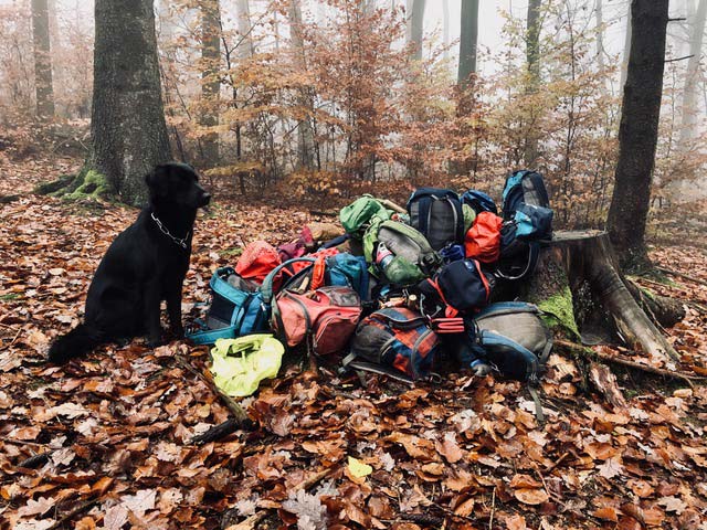 Waldalltag – Begleithund