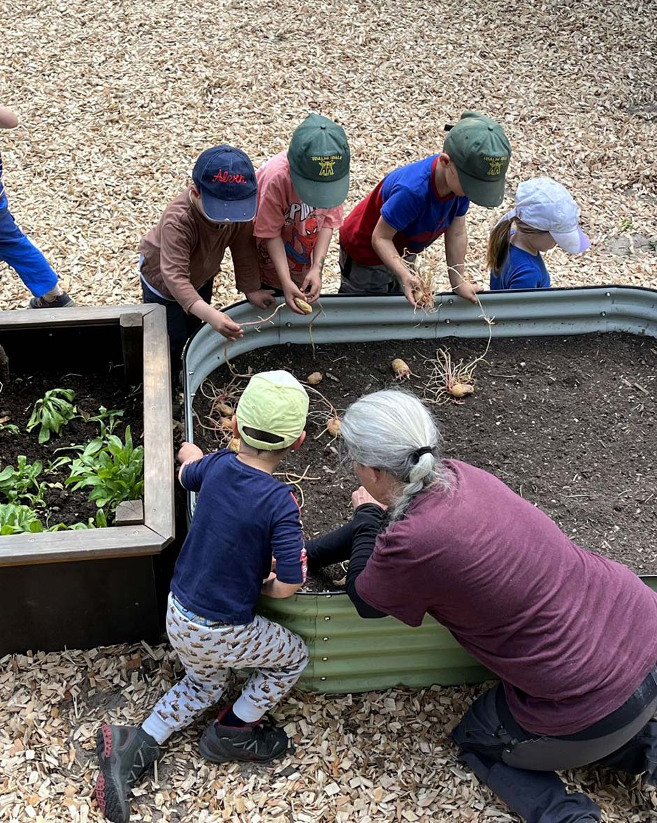 Waldalltag – Pflanzen